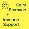 Ginger Root Herbal Supplement Capsules
