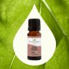 Copaiba Oleoresin Organic 10 mL