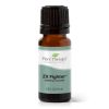 Zit Fighter Synergy Essential Oil 10 mL