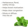 Bergamot Mint 10 ml